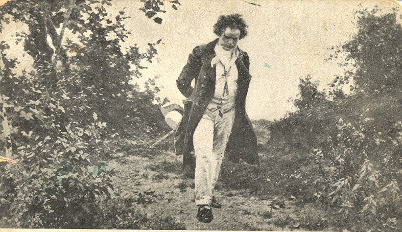 Beethoven walking in the woods
