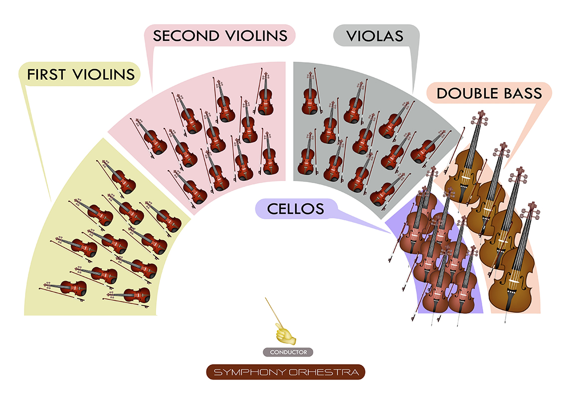The Violin Family