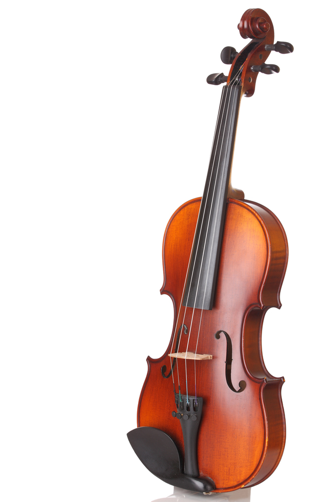 Violin