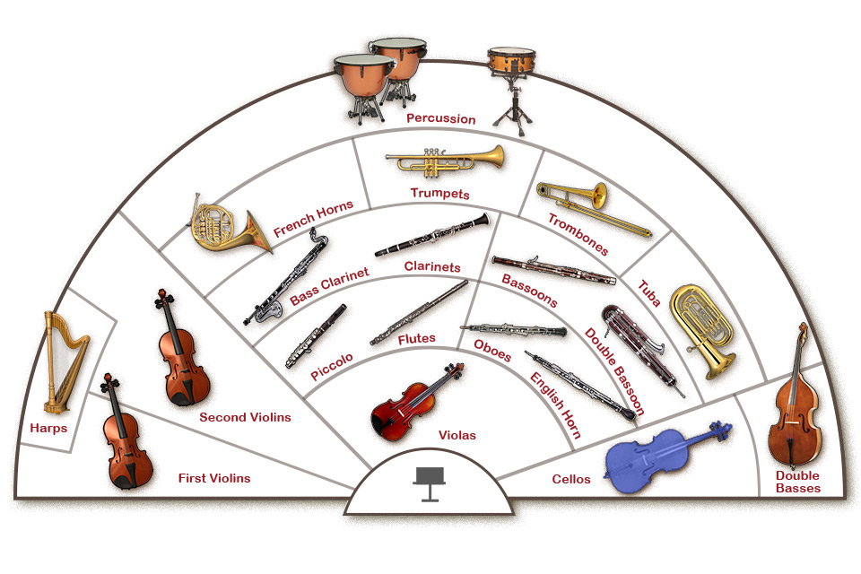 seating chart of the traditional symphony orcherstra seating chart of the traditional symphony orchestra